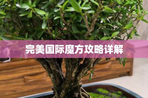 完美国际魔方攻略详解