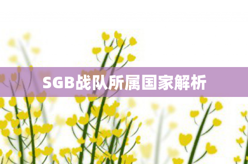 SGB战队所属国家解析