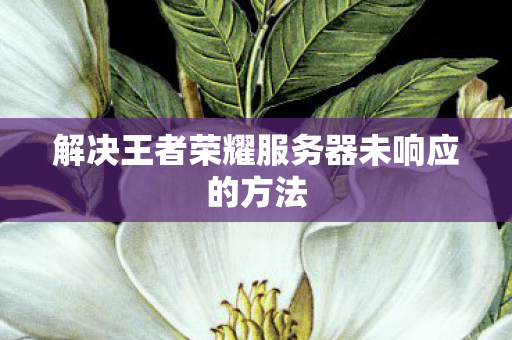 解决王者荣耀服务器未响应的方法