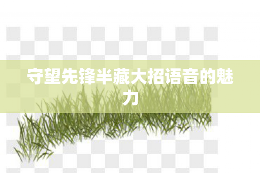 守望先锋半藏大招语音的魅力