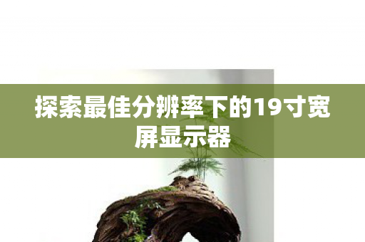 探索最佳分辨率下的19寸宽屏显示器