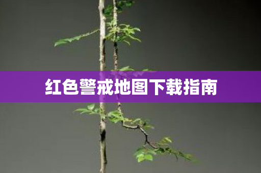 红色警戒地图下载指南