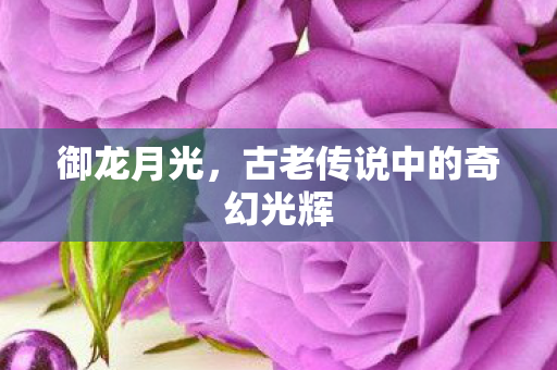 御龙月光，古老传说中的奇幻光辉