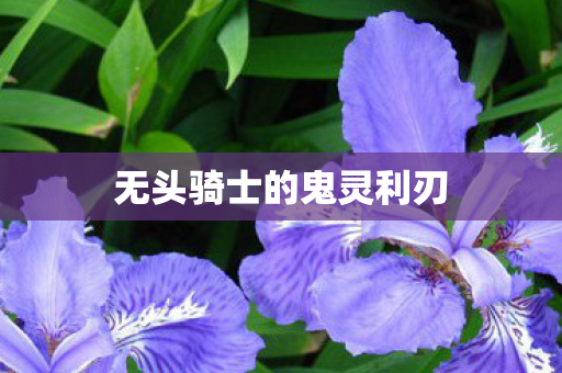 无头骑士的鬼灵利刃