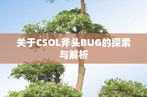 关于CSOL斧头BUG的探索与解析