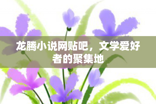 龙腾小说网贴吧，文学爱好者的聚集地