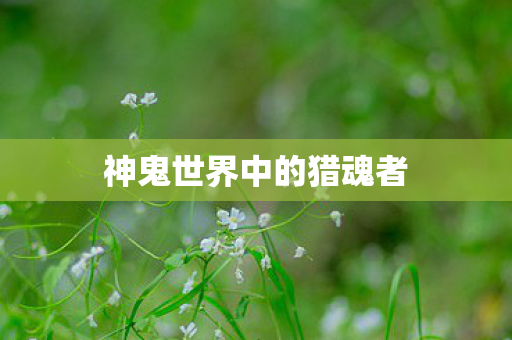神鬼世界中的猎魂者
