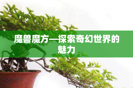 魔兽魔方—探索奇幻世界的魅力