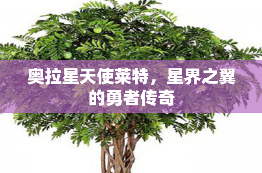 奥拉星天使莱特，星界之翼的勇者传奇