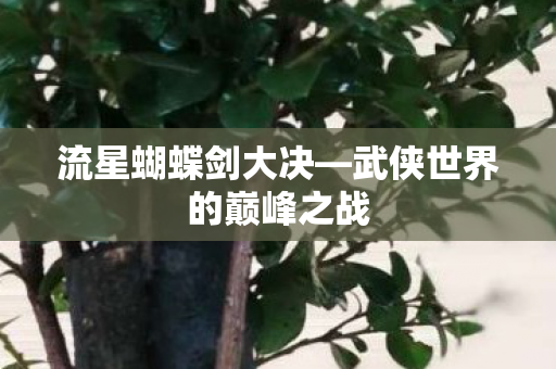 流星蝴蝶剑大决—武侠世界的巅峰之战