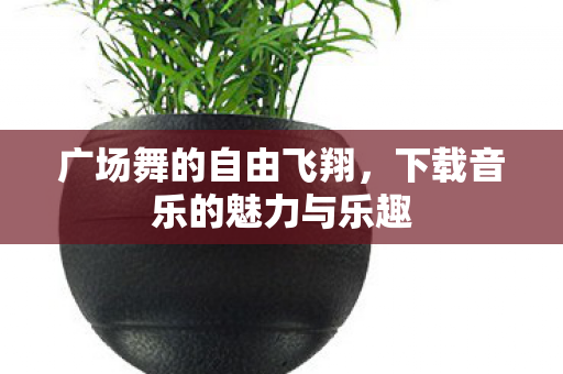 广场舞的自由飞翔，下载音乐的魅力与乐趣