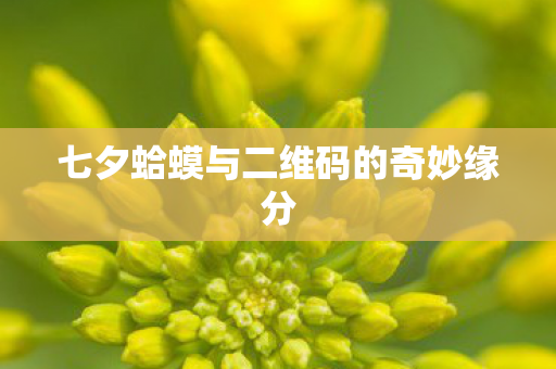 七夕蛤蟆与二维码的奇妙缘分