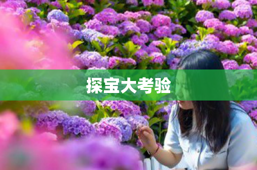 探宝大考验