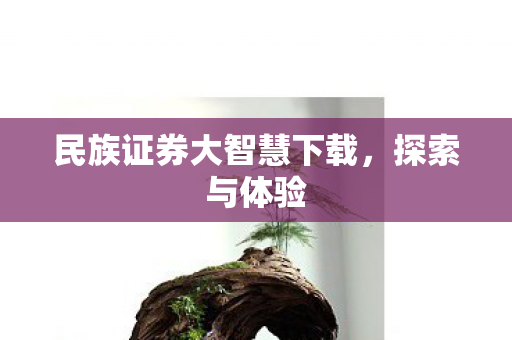 民族证券大智慧下载，探索与体验