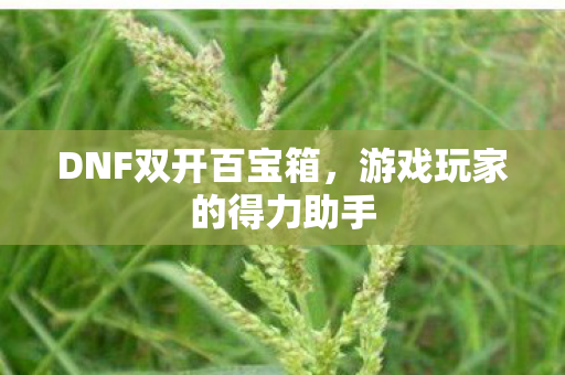DNF双开百宝箱,游戏玩家的得力助手 DNF双开百宝箱,游戏玩家的得力助手