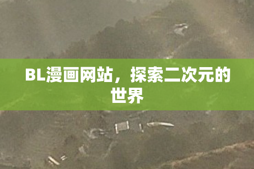 BL漫画网站，探索二次元的世界
