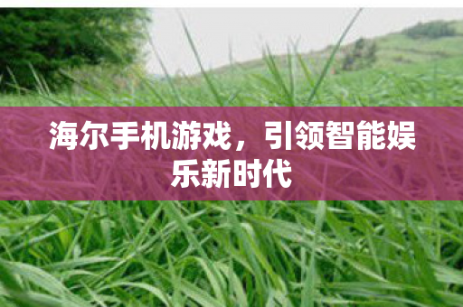 海尔手机游戏，引领智能娱乐新时代