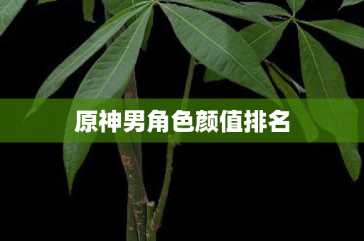 原神男角色颜值排名