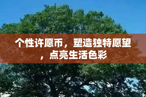 个性许愿币，塑造独特愿望，点亮生活色彩