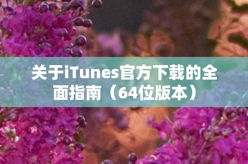 关于iTunes官方下载的全面指南（64位版本）