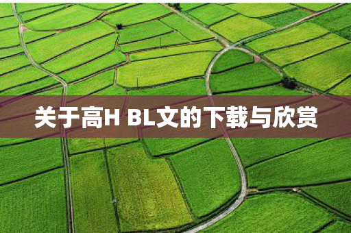 关于高H BL文的下载与欣赏