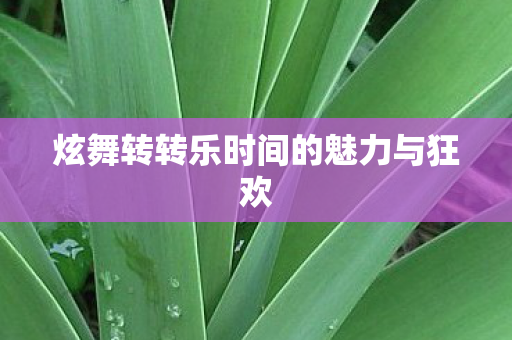 炫舞转转乐时间的魅力与狂欢