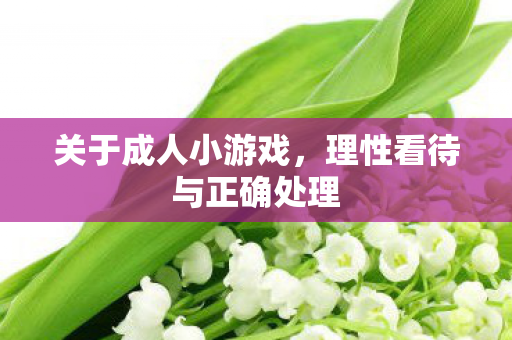 关于成人小游戏，理性看待与正确处理
