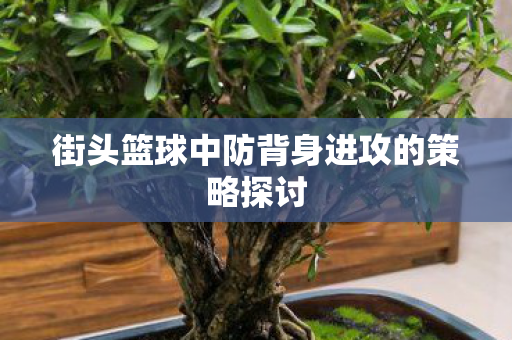 街头篮球中防背身进攻的策略探讨