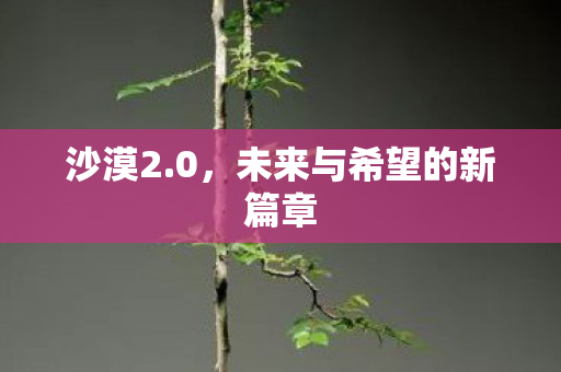 沙漠2.0，未来与希望的新篇章
