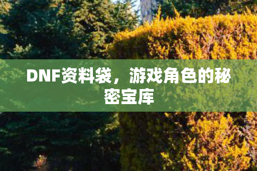 DNF资料袋，游戏角色的秘密宝库