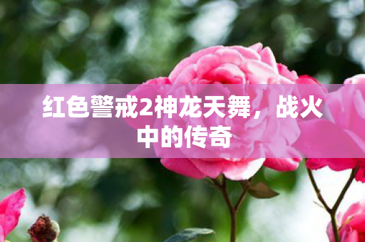 红色警戒2神龙天舞，战火中的传奇
