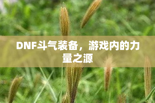 DNF斗气装备，游戏内的力量之源