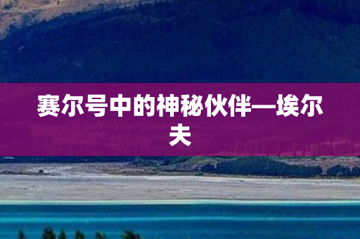 赛尔号中的神秘伙伴—埃尔夫