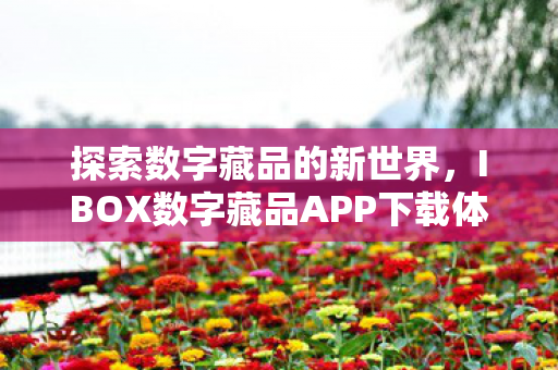 探索数字藏品的新世界，IBOX数字藏品APP下载体验