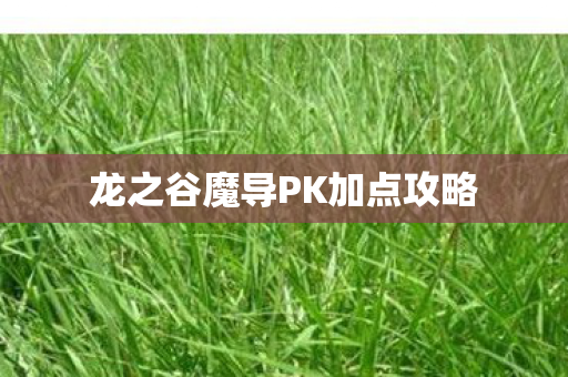 龙之谷魔导PK加点攻略