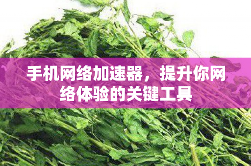 手机网络加速器，提升你网络体验的关键工具