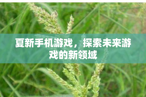 夏新手机游戏，探索未来游戏的新领域