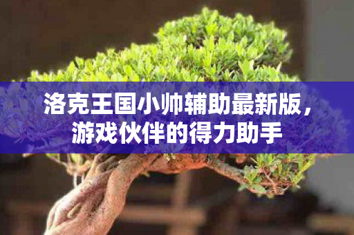 洛克王国小帅辅助最新版，游戏伙伴的得力助手