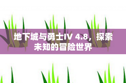 地下城与勇士IV 4.8，探索未知的冒险世界