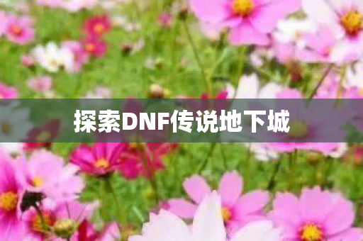 探索DNF传说地下城