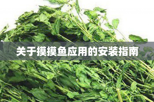 关于摸摸鱼应用的安装指南