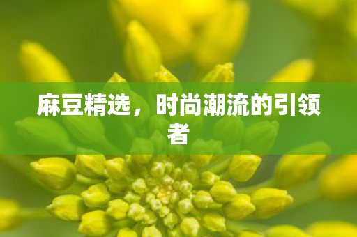 麻豆精选，时尚潮流的引领者