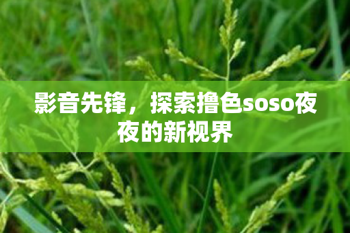 影音先锋，探索撸色soso夜夜的新视界
