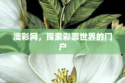 澳彩网，探索彩票世界的门户
