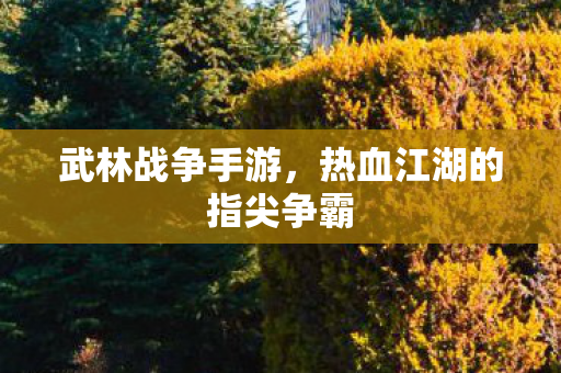 武林战争手游，热血江湖的指尖争霸