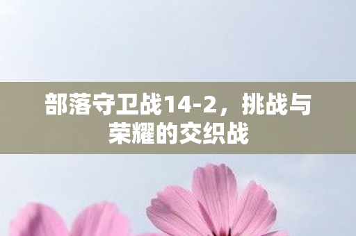 部落守卫战14-2，挑战与荣耀的交织战