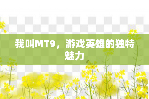 我叫MT9，游戏英雄的独特魅力