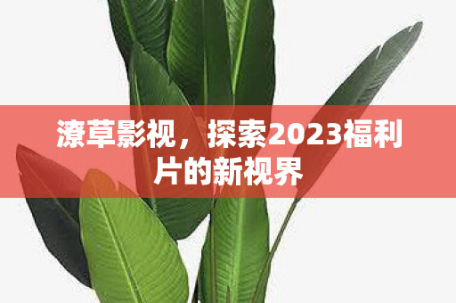潦草影视，探索2023福利片的新视界