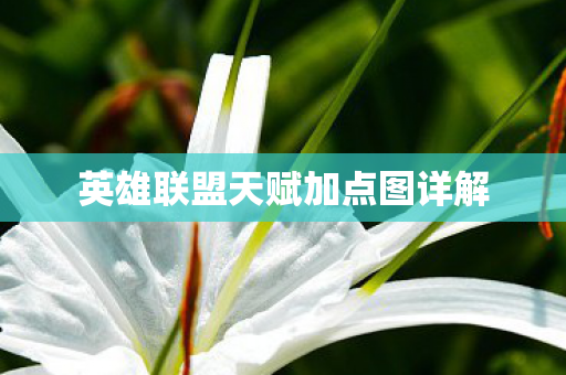 英雄联盟天赋加点图详解