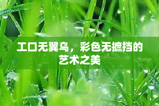 工口无翼乌，彩色无摭挡的艺术之美